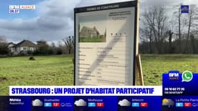Strasbourg: un projet d'habitat participatif dans le quartier de l'Elsau