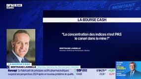 La bourse cash : "Concentration des indices, que faut-il en penser ?" - 15/03