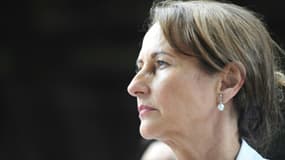 La ministre de l'Ecologie et du Développement durable Ségolène Royal, lors d'une visite à Saxon-Sion dans le nord-est de la France, le 26 juin 2015