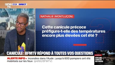 Cette canicule précoce préfigure-t-elle des températures encore plus élevées cet été? BFMTV répond à vos questions sur les fortes chaleurs