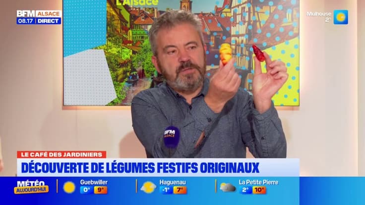 Le Café des Jardiniers: découverte de légumes festifs et originaux