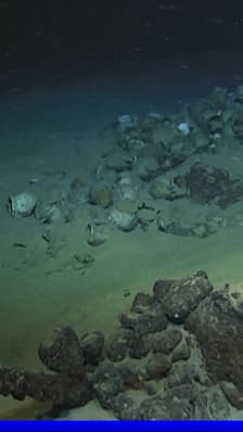 Var: la préfecture maritime de Méditerranée annonce la découverte de l'épave la plus profonde des eaux françaises
