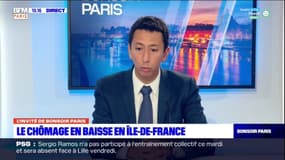Ile-de-France: Othman Nasrou, vice-président du conseil régional assure que la baisse du chômage est évidemment "une bonne nouvelle"
