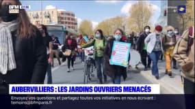 JO 2024 de Paris: mobilisation samedi à Aubervilliers pour sauver des parcelles de jardins ouvriers menacés de disparition au profit d'un centre aquatique  