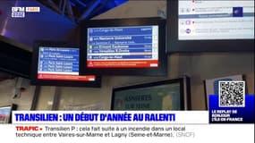Paris: un début d'année au ralenti pour le Transilien