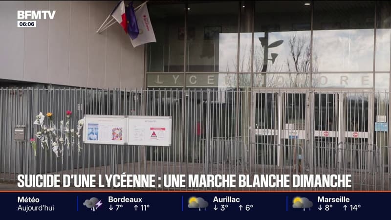 Après le suicide d'une lycéenne en Seine-et-Marne, une marche blanche organisée ce dimanche 25 janvier de la gare de Mitry-le-Neuf jusqu'à son lycée