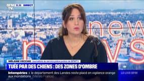 Tuée par des chiens: des zones d'ombre (2) - 21/11