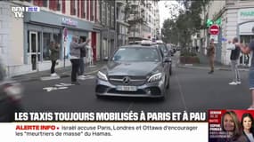 "Il faut que les plateformes soient sous le contrôle de l'exécutif": les chauffeurs de taxis sont toujours mobilisés à Paris et à Pau