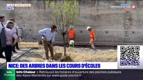 Nice: des arbres plantés pour conserver la fraîcheur dans les cours de récréation