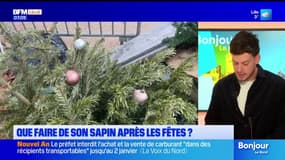 Sapin de Noël: gare aux délais pour la collecte des conifères!
