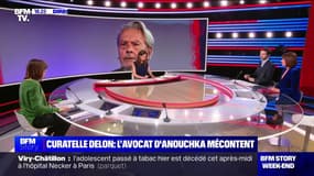 Story 4 : Curatelle Delon, l'avocat d'Anouchka mécontent - 05/04