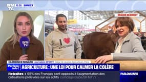 Loi d'orientation agricole: pour le syndicat des Jeunes Agriculteurs cette loi est un "bon signal" mais reste insuffisante