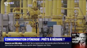 TotalEnergies, EDF et Engie appellent à réduire "immédiatement" notre consommation d'énergie