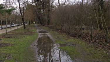 L'allée de Longchamp, l'une des principales voies traversant le Bois de Boulogne. (illustration)