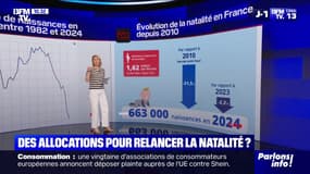 LES ÉCLAIREURS - L'évolution de la natalité en France