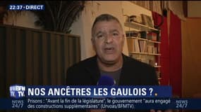 Les "Gaulois" de Nicolas Sarkozy: Pourquoi a-t-il exhumé l'antienne du "roman national" ? (2/3)