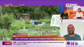 Romain Musard à votre service : Comment prendre soin de son jardin à l'automne ? - 24/09