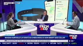 La pet tech: Invoxia et Animoscope - 17/01