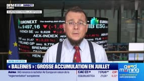 BFM Crypto : "Baleines", grosse accumulation en juillet - 02/08