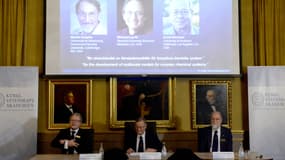 Le prix Nobel de chimie 2013 a été décerné mercredi à l'Austro-Américain Martin Karplus, l'Américano-Britannique Michael Levitt et l'Israélo-Américain Arieh Warshel.