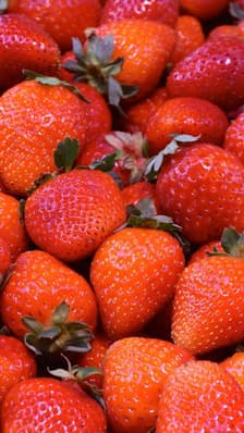  Le petit miracle des fraises françaises 