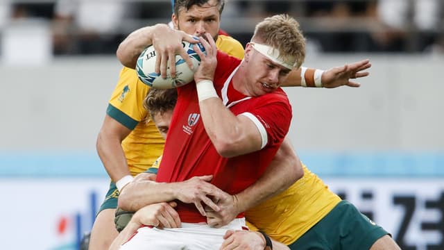 Australie Galles En Direct Le Pays De Galles Matent Les Wallabies Au Terme D Un Match Fou