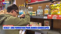 Dans l'objectif : Ecully, une formation pour jeunes handicapés