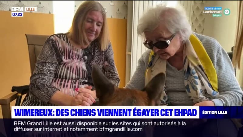 Wimereux: des chiens viennent à la rencontre des résidents d'un Ehpad