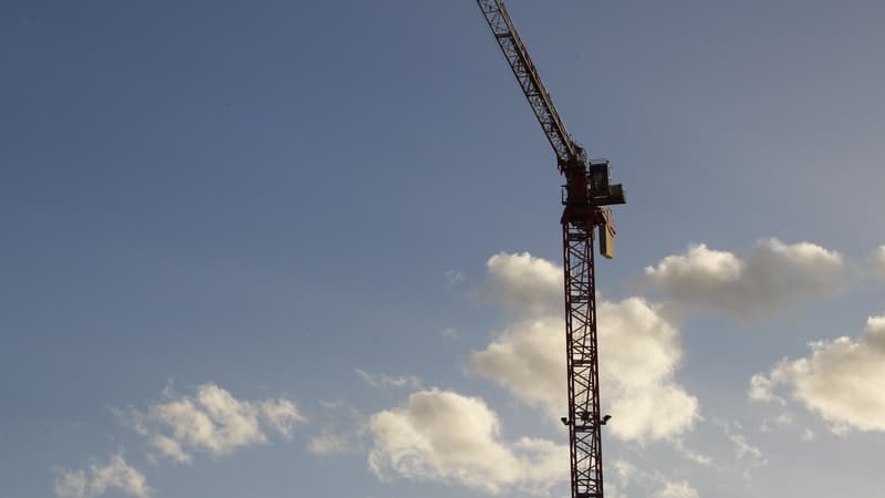 Une grue dans Paris le 7 février 2014 (illustration)