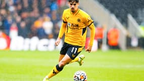 Francisco Trincao - Wolverhampton