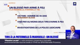Marseille: un homme grièvement blessé par des tirs à la cité de la Paternelle