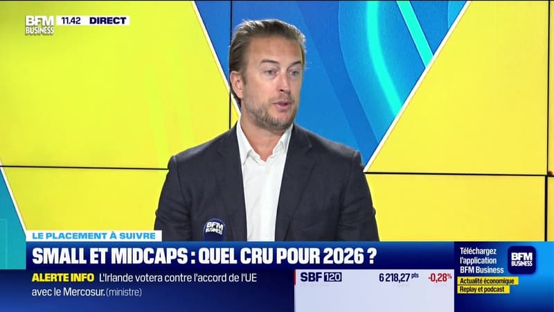 Le placement à suivre : Small et Midcaps, quel cru pour 2026 ? - 08/01