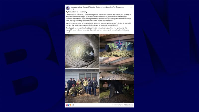 Un chien coincé dans un puits situé sous une maison au Texas a été sauvé.