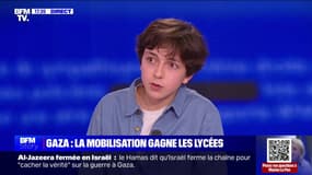 Manifestations étudiantes pour Gaza: "Un nombre conséquent de lycées sera bloqué dès demain", affirme Manes Nadel (Union syndicale lycéenne)