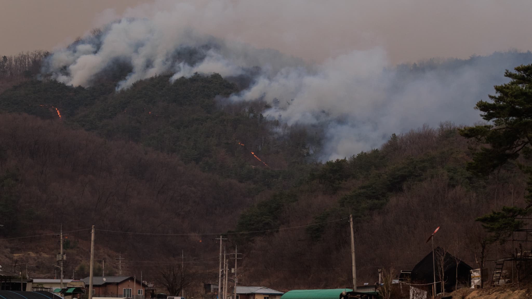 Des flammes et de la fumée s'élèvent au-dessus des arbres lors d'un incendie de forêt à Uiseong (Corée du Sud), le 24 mars 2025. Des flammes et de la fumée s'élèvent au-dessus des arbres lors d'un incendie de forêt à Uiseong (Corée du Sud), le 24 mars 2025.