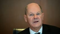 Le chancelier allemand Olaf Scholz le 29 janvier 2025. 