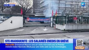 Marseille: les salariés Enedis en grève