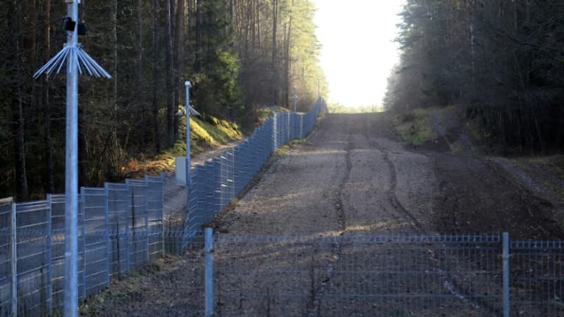 La Lituanie achève la construction d'une clôture à la frontière avec le Bélarus