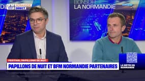 Le festival Papillons de Nuit et BFM Normandie partenaires