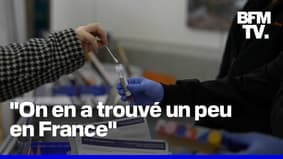 Une nouvelle variante du CoVVI-19 a été identifiée en France