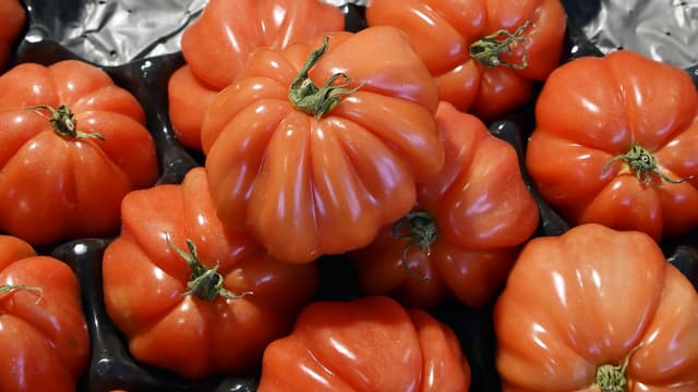 La CLVC dénonce l'arnaque des tomates côtelées, souvent nommées coeur de boeuf alors qu'il s'agit de variétés hybrides.