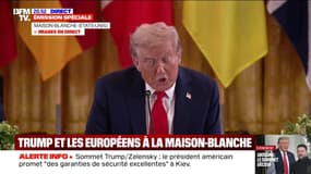 Sommet à la Maison-Blanche: "C'est une journée couronnée de réussite", affirme Donald Trump