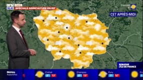 Météo Paris Île-de-France: une journée de jeudi sous le soleil, jusqu'à 13°C à Paris