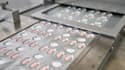 Une photo transmise par Pfizer de ses pilules contre le Covid-19, qui doivent être commercialisées sous le nom de Paxlovid, dans une usine à Fribourg, en Allemagne