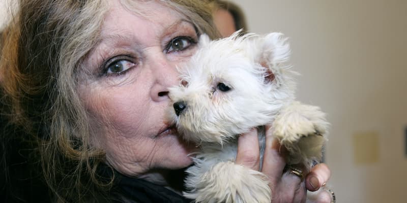 Brigitte Bardot avec un chiot, le 28 décembre 2005 à Nice.