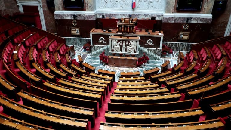 L'hémicycle de l'Assemblée nationale à Paris, le 19 mai 2020