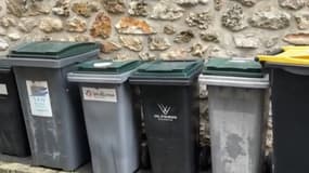 Des poubelles à puce en Seine-et-Marne (illustration)