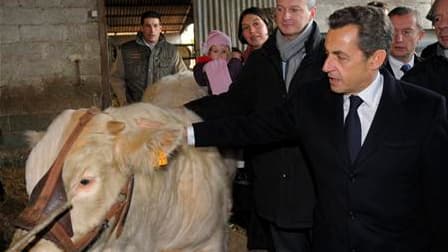 Lors d'une table ronde avec des agriculteurs de l'Allier, Nicolas Sarkozy a déclaré que la France a France proposerait à ses partenaires du G20 la création d'une organisation agricole internationale pour coordonner les productions. /Photo prise le 25 nove