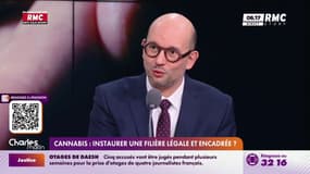 Cannabis: "La légalisation permettrait d'assécher le marché illégal"