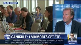 "1.500 morts à cause de la canicule, ce n'est encore pas acceptable", réagit le président de l'AP-DA